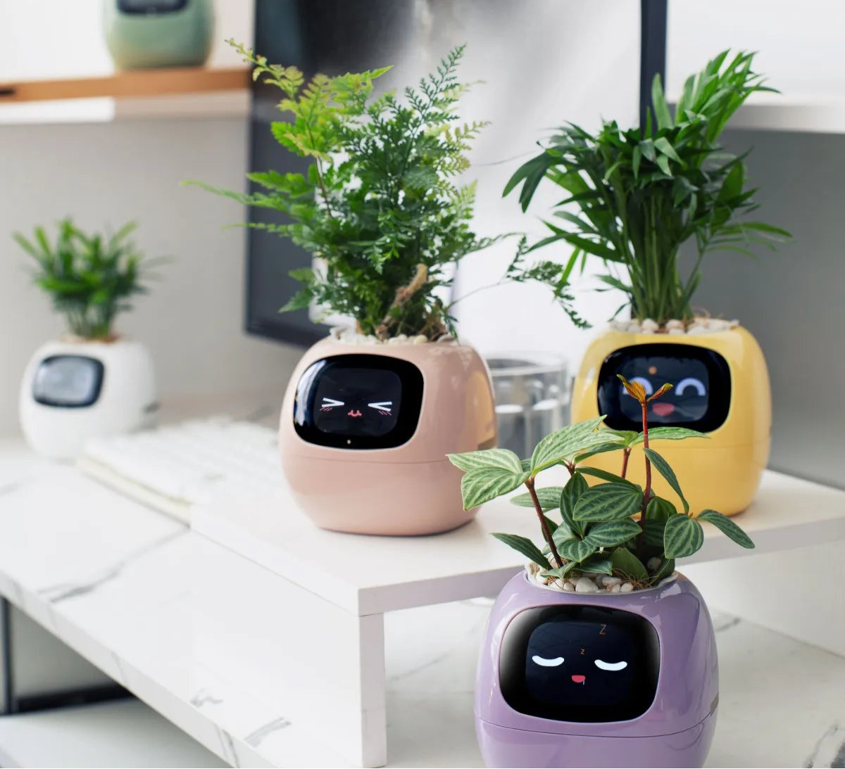 Smart Life Planter,Endless Fun Over 49 Rich Expressions,7 smart sensors,AI Chips Make Raising Plants Easy and Fun