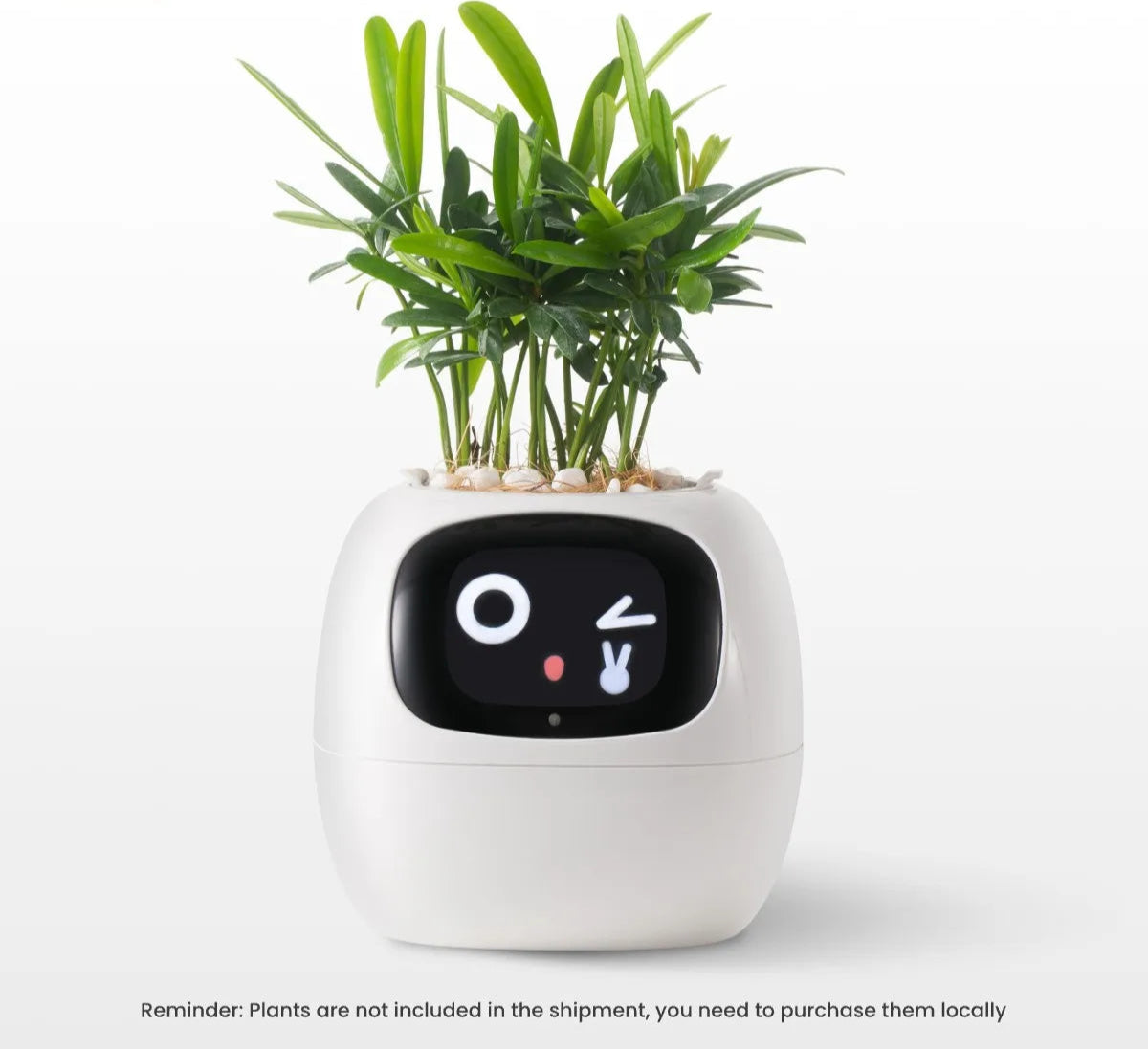 Smart Life Planter,Endless Fun Over 49 Rich Expressions,7 smart sensors,AI Chips Make Raising Plants Easy and Fun