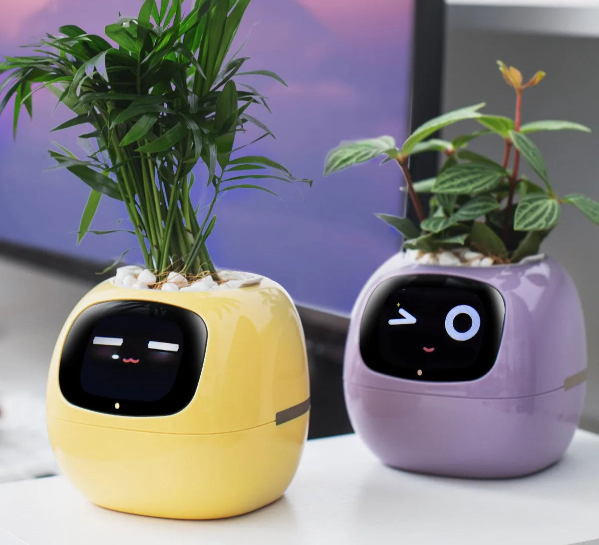Smart Life Planter,Endless Fun Over 49 Rich Expressions,7 smart sensors,AI Chips Make Raising Plants Easy and Fun