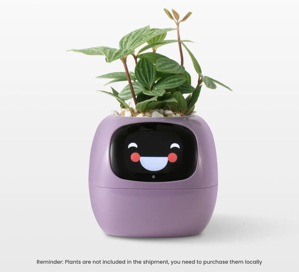 Smart Life Planter,Endless Fun Over 49 Rich Expressions,7 smart sensors,AI Chips Make Raising Plants Easy and Fun