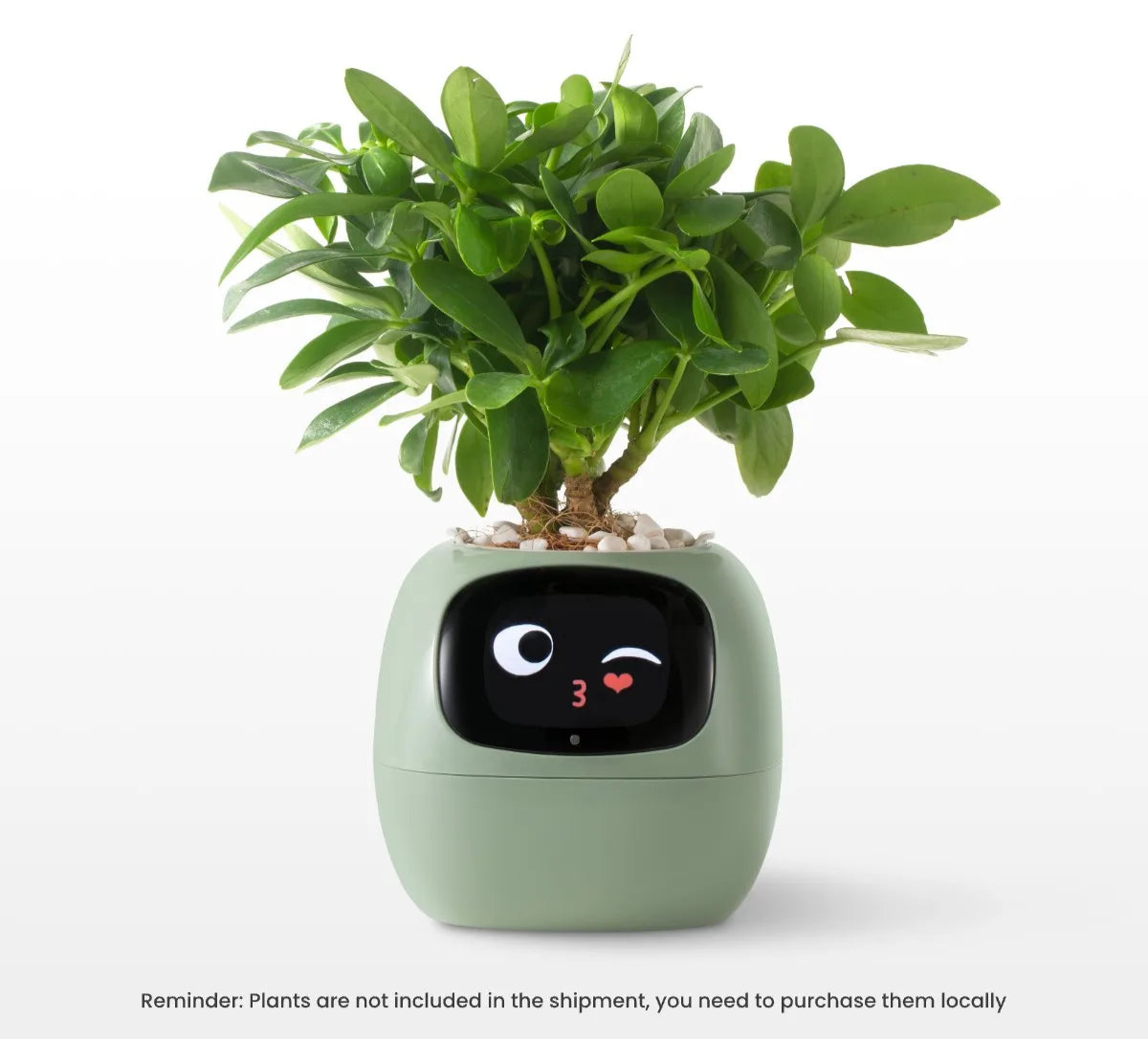 Smart Life Planter,Endless Fun Over 49 Rich Expressions,7 smart sensors,AI Chips Make Raising Plants Easy and Fun