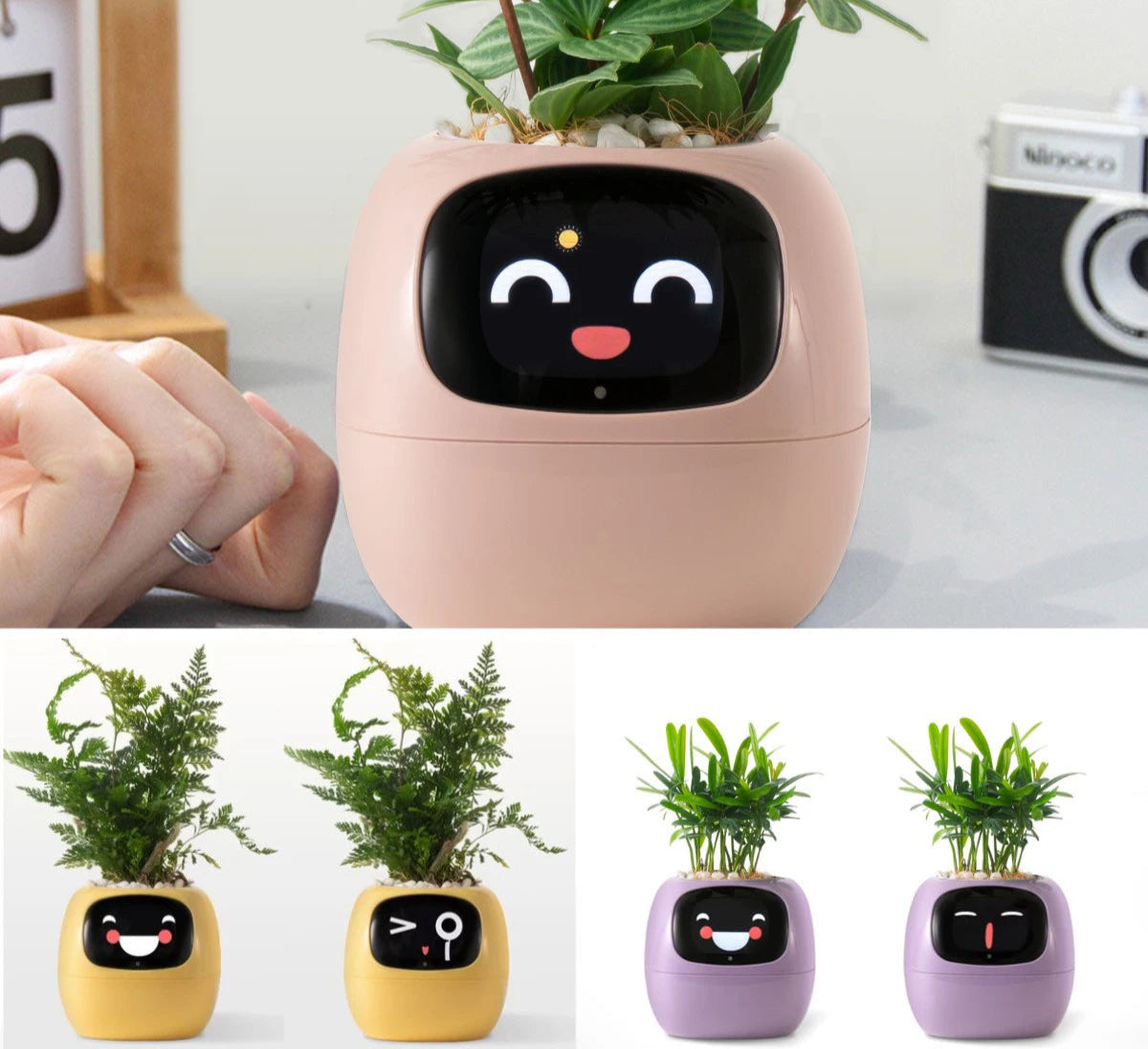 Smart Life Planter,Endless Fun Over 49 Rich Expressions,7 smart sensors,AI Chips Make Raising Plants Easy and Fun